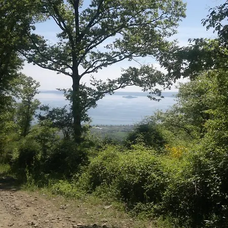 Miralago